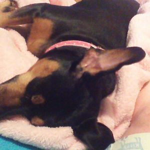 Meet your Posher, Cathy